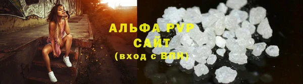 молекула духа Богданович