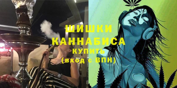 прущие грибы Арсеньев