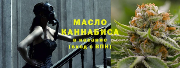 молекула духа Богданович