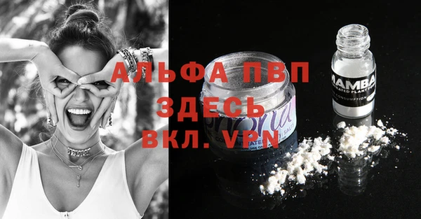 прущие грибы Арсеньев