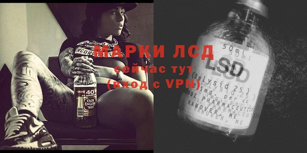молекула духа Аркадак
