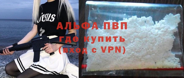 молекула духа Богданович
