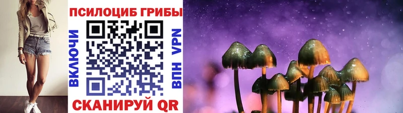 Галлюциногенные грибы Cubensis  магазин продажи   Спасск-Дальний 